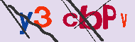 Captcha認証コード