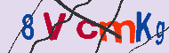 Captcha認証コード